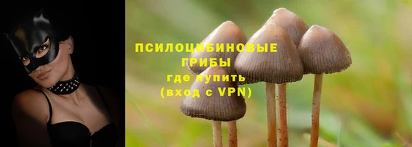 прущие крисы Алексин