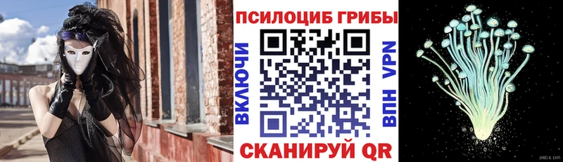 где найти наркотики  Кашин  Галлюциногенные грибы Cubensis 